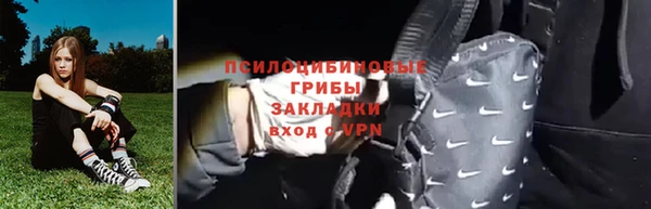 ешки Алексин